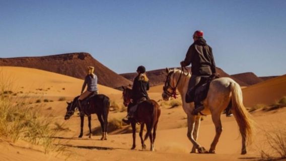 Illizi: Horse Ride, Dinner, and Music Show