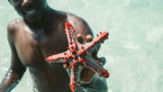 Zanzibar: Blue Lagoon Snorkeling & Sandbank Tour with BBQ