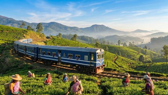 Ella: First-Class Scenic Train Seat Reservation to NanuOya