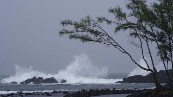 Hilo: Walking Ghost Tour