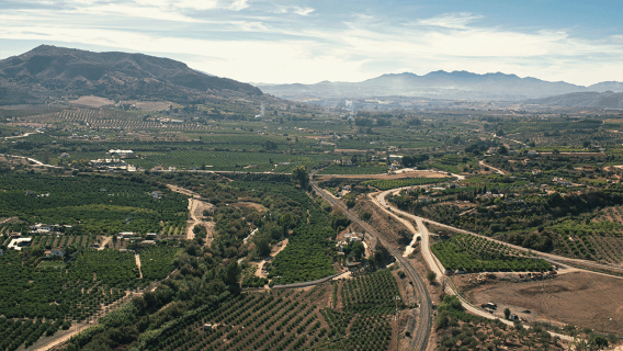 Malaga Wine Tour: Álora Village, Vineyard, Winery & Tapas