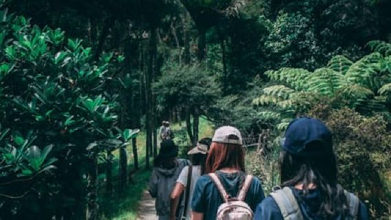 Hike in The Karura Forest