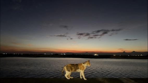 Manila: Passeio de 3 horas pelo pôr do sol na Baía de Manila
