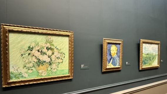 Washington D.C.: 2 uur durende wandelrondleiding in de National Gallery of Art | Originele werken van Da Vinci