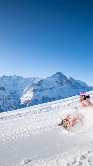 From Zurich: Alpine Sledging & Private Fondue by the Lake Tour