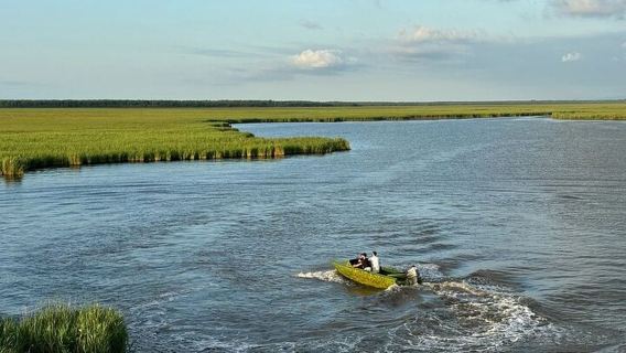 From Batumi: Georgian Amazon & Kolkheti Park Tour