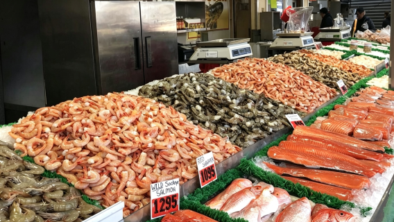 Washington D.C. Fish Market: Chesapeake seafood culture and the wharf waterfront