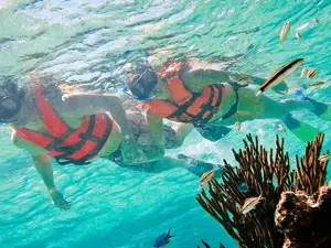 Snorkeling Adventure from Cancun and Riviera Maya