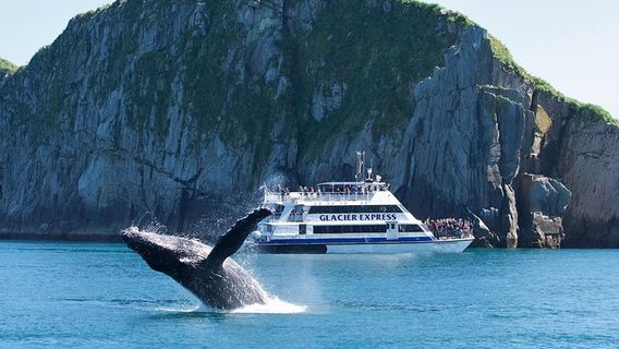 JuneauTours