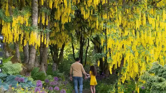VanDusen Botanical Garden Admission Ticket