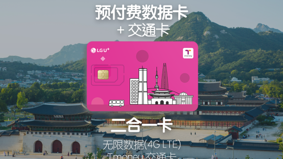 South KoreaSIM Cards
