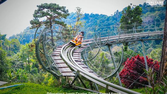 Pongyang Jungle Coaster et Tyrolienne au Pongyang Adventure Park à Chiang Mai