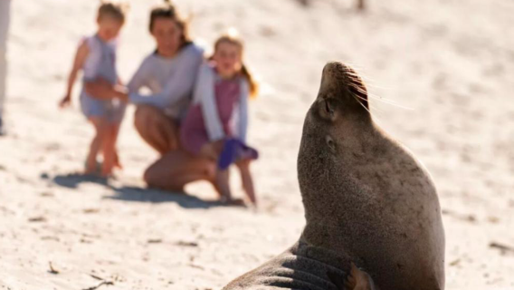 Kangaroo Island