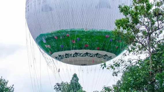 Hangzhou Xixi National Wetland Park (including tickets + battery boat tickets) + half-day tour with senior tour guide