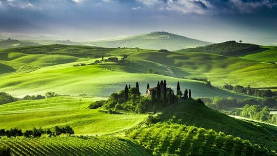 FlorenceExperiences