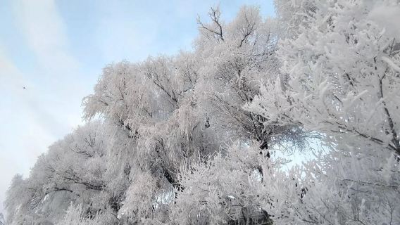 Wusong Island + Beidahu Ski Resort 1-day Tour [Small Group of 1-6 People · Downtown Door-to-Door Pickup]