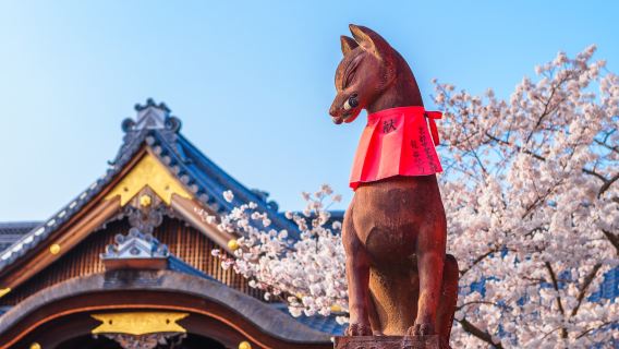 Excursión de un día a Fushimi Inari-Taisha y el templo Kiyomizu-dera en Kioto