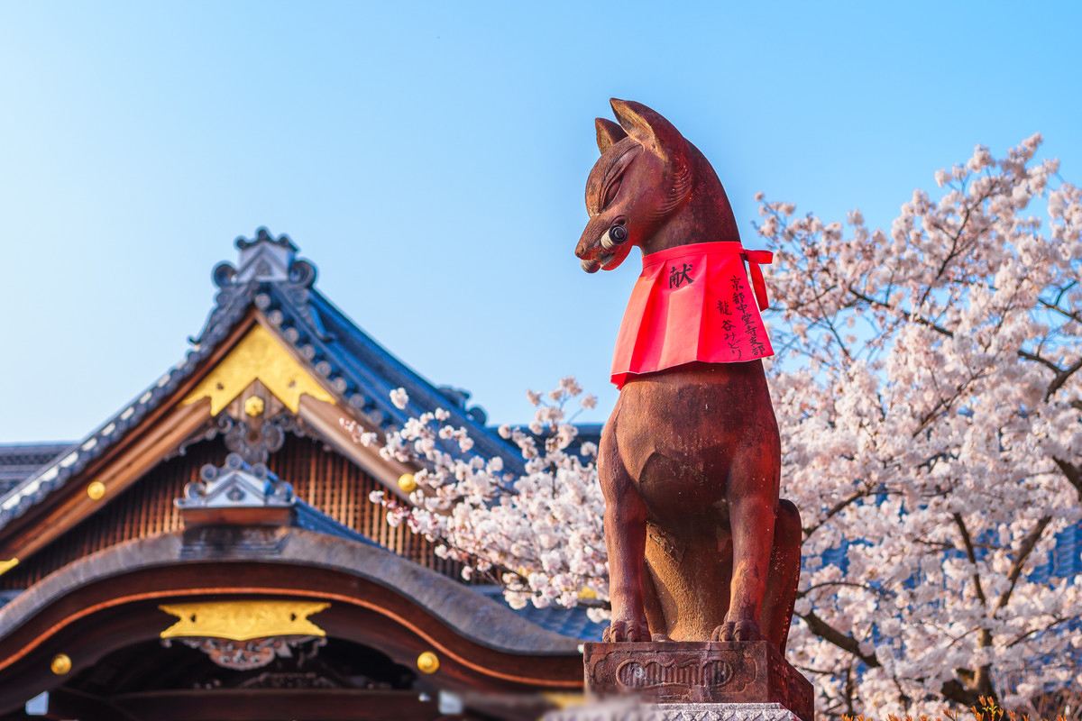 ทัวร์ 1 วัน ศาลเจ้าฟูชิมิอินาริเกียวโต + วัดคิโยะมิซุ