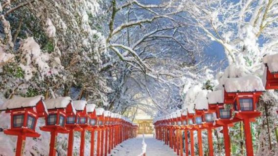 日本京三千院+貴船神社+嵯嵯峨野觀光小火車+竹林步道一日遊
