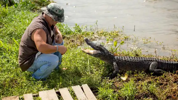 Guided Swamp and Bayou Boat Tour