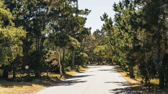 From San Francisco: Day Trip To Monterey and Carmel by the Sea