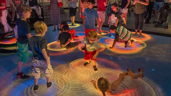 Phillip & Patricia Frost Museum of Science, Aquarium & Planetarium: Entry Ticket