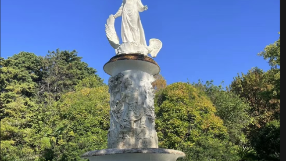 索契日遊