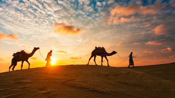 Visita al 124°/125° piano del Burj Khalifa, shopping al Dubai Mall e safari nel deserto con cena BBQ