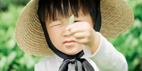 梅家塢茶文化研學茶農親子一日營【採茶+古法炒茶+茶包DIY】