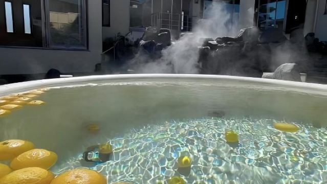 日本東京+箱根+雕刻森林美術館一日遊/行程可調-可定制多日