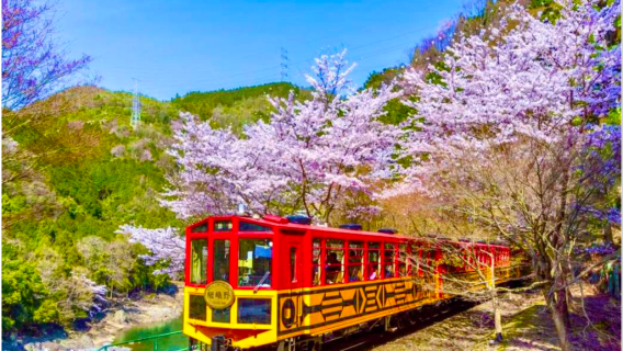 однодневный тур по Арашияма, парку Нара, святилищу Фусими Инари и мосту Тогетсукио - отправление из Осаки