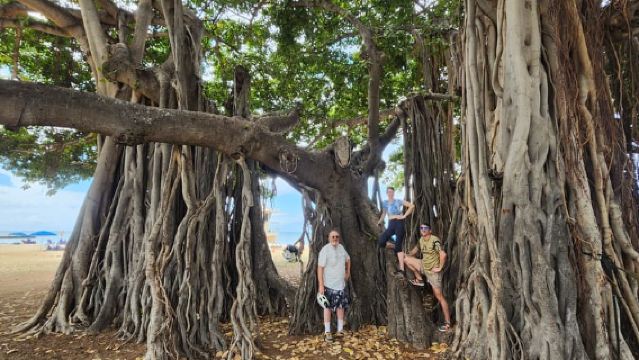Oahu: Chuyến đi ngắm cảnh bằng xe đạp điện Diamond Head