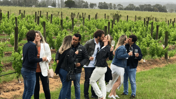 ซานฟรานซิสโก: ทัวร์ชิมไวน์ครึ่งวันในหุบเขา Napa พร้อมกิจกรรมชิมไวน์