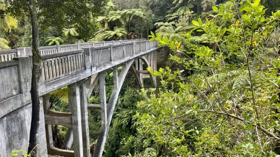 Tongariro Alpine Crossing: Return shuttle from Ohakune