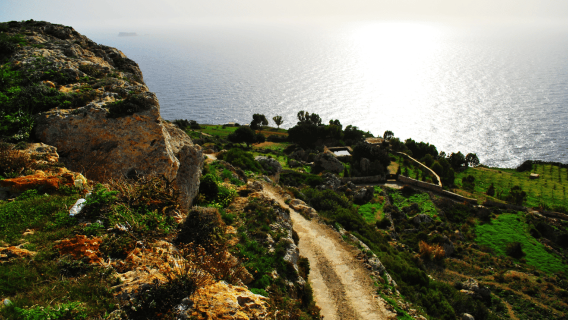 Scenic Tour by Vintage Bus to Buskett Garden & Dingli Cliffs