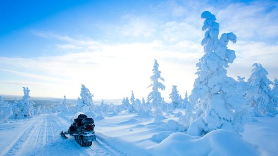 Rovaniemi: Snowmobile Safari in the Arctic Circle