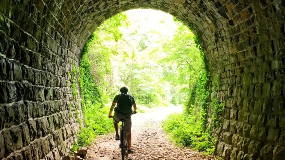 Motovun: Tur E-Bike di Istria