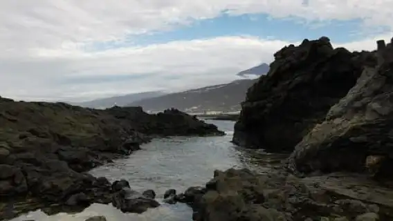Tenerife Island, The Best Day Tour FOR CRUISE PASSENGERS