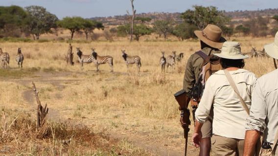 Arusha: Tarangire National Park Day Trip with Safari