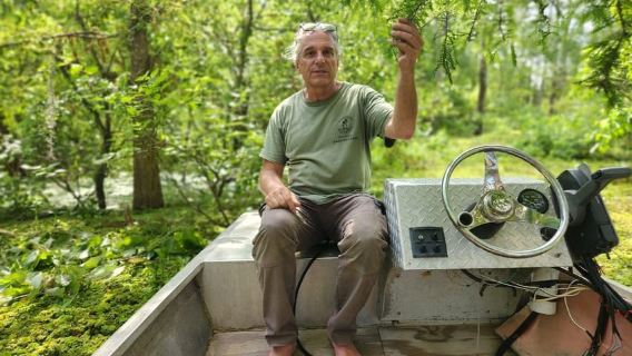 2-hour Eco-Swamp Tour