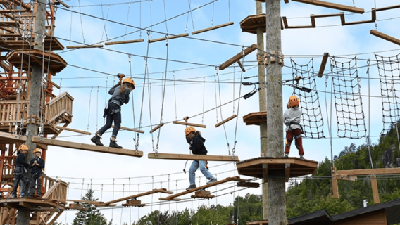 Tyroparc: La Cité des Bois Obstacle Course in Laurentians