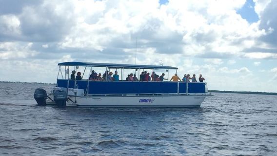 Flamingo Marina: Backcountry Boat Tour of the Everglades