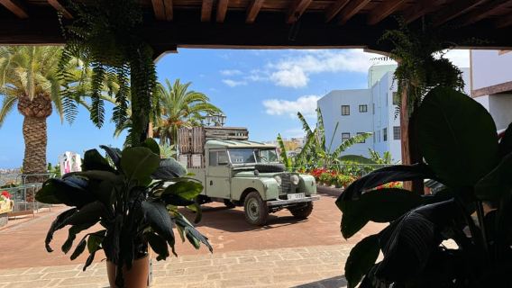 Icod de los Vinos: Tiket Masuk Casa del Plátano