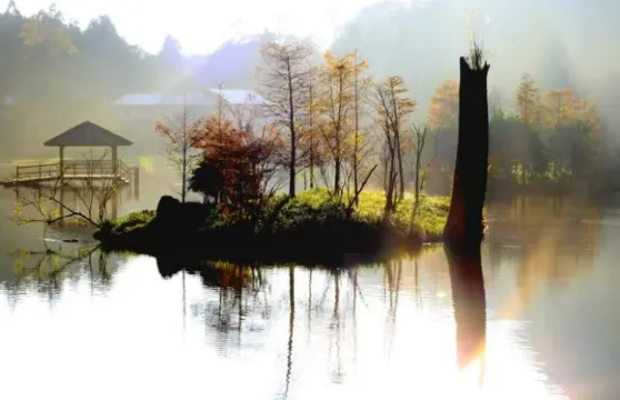 宜蘭三味旅程~蘭陽博物館+張美阿嬤農場+伯朗咖啡城堡一日遊