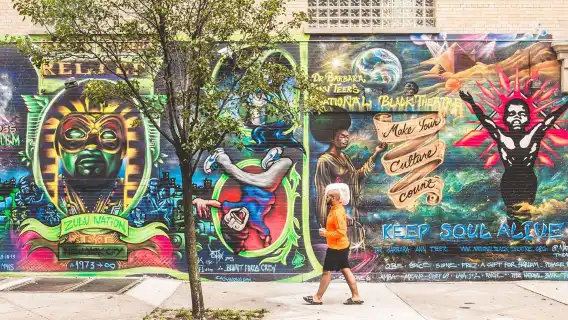 Harlem: Guided Tour in French