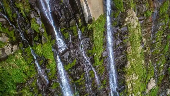 豐山漫步雲端步道賞花觀瀑行