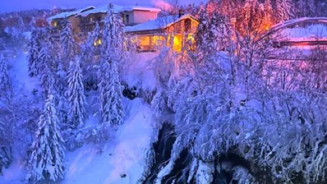 日本札幌來回+旭山動物園+白鬚瀑布+七星之樹+青池/私家包車