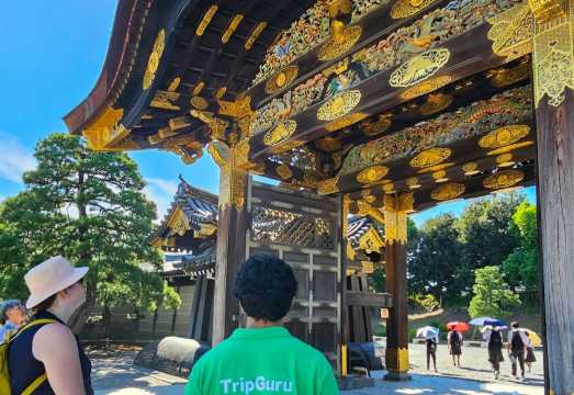Kyoto Imperial Palace & Nijo Castle: Guided Walking Tour