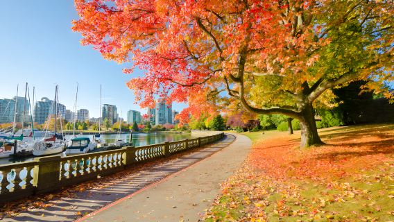 Tagesausflug durch Vancouver Stadtzentrum | Tägliche Abfahrt ab 2 Personen