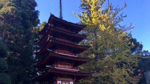 美國舊金山日本茶園+斯托湖與草莓山+要塞公園+榮譽軍團一日遊